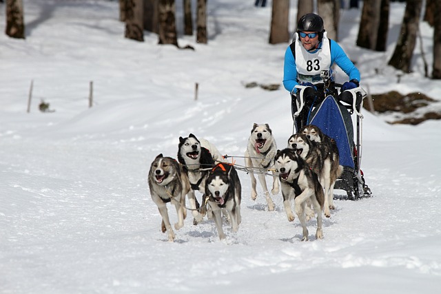 队能够轻松